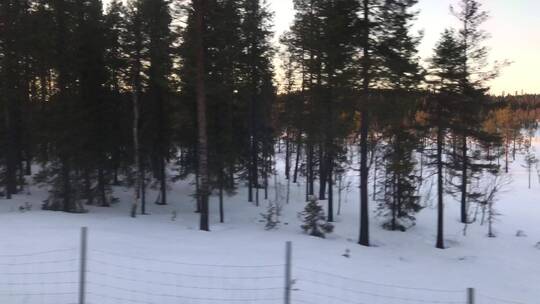美丽的冬天雪景特写 高山森林小河树木