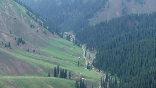 航拍夏季新疆恰西森林公园风景