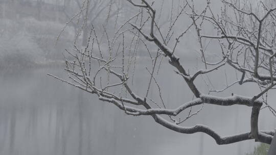 冬季雪景 城市初雪 下雪空镜