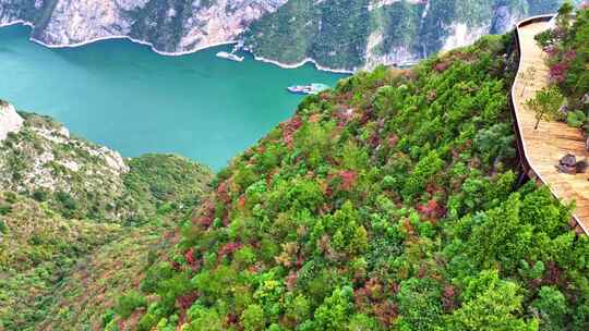 三峡红叶