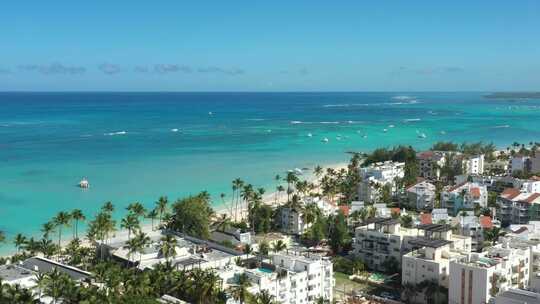 热带海滨度假村棕榈树和加勒比海
