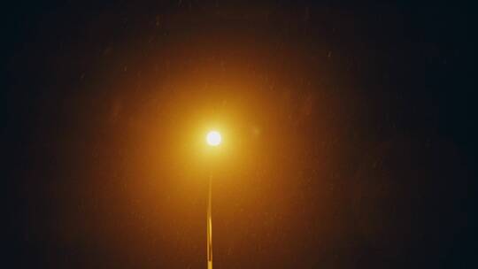 4k夜晚大雪中的路灯近景slog2原视频