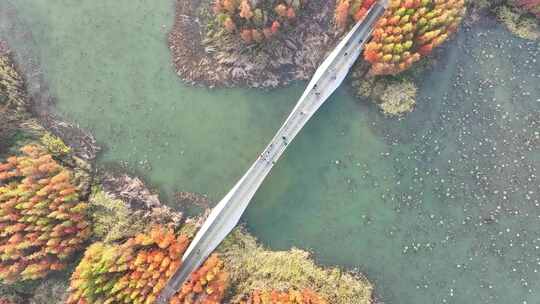 南昌高新区鱼尾洲湿地公园航拍