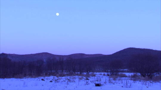 东北森林 树梢 圆月 月升 延时 远景 雪景