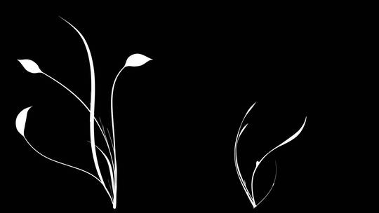 黑白花纹藤蔓