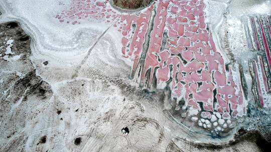 内蒙古阿拉善腾格里沙漠的粉红秘境骆驼湖视频素材模板下载