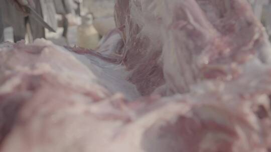 农村杀猪卸肉LOG视频素材模板下载