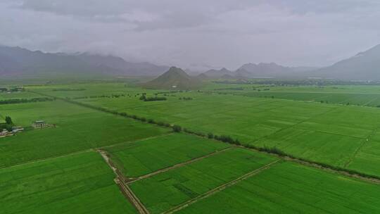 西藏日喀则白朗县蔬菜种植基地航拍