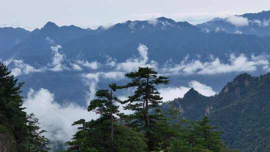 美丽中国河南伏牛山老界岭自然风光