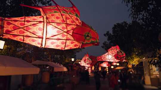 上海蟠龙天地鱼灯笼花灯春节新年夜晚运镜