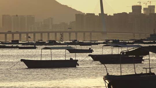 香港瞭望深圳视频深圳湾