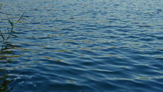 晴朗天气下的西湖湖面波纹