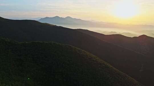 夏季高山草甸绿色森林牧场夕阳航拍