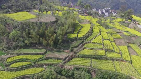 衢州市衢江区东平村