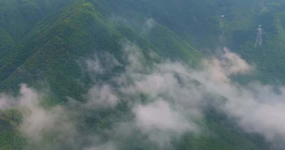 浙江安吉江南竹海高山云海航拍