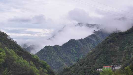 黄山茶山云雾猴坑村航拍