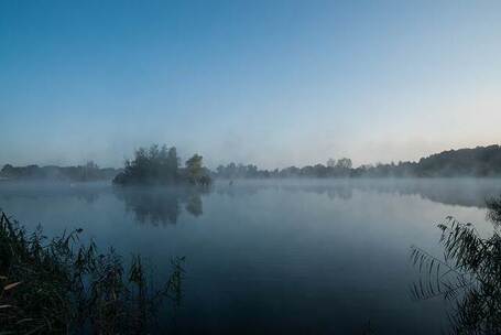 环江晨曦 春天 草原 明净 原声 手碟 环江晨曦 春天 草原 明净 原声 手碟