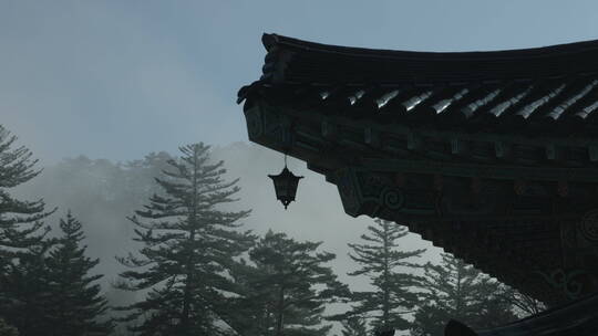 韩国月精寺深秋 晨景 雾景 寺院翼角 特写