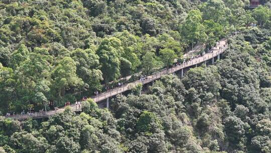 广东观音山国家森林公园第十二届登山大赛