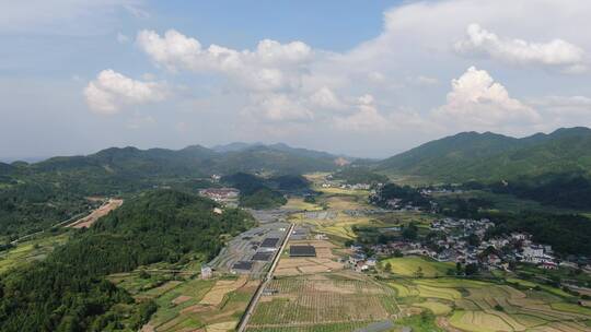 航拍秋天金黄稻田美丽乡村田园