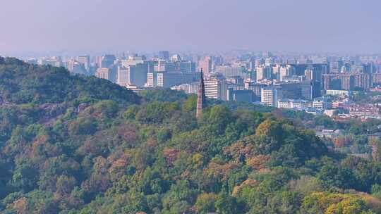 浙江杭州西湖景区保俶塔风景风光航拍视频素材模板下载