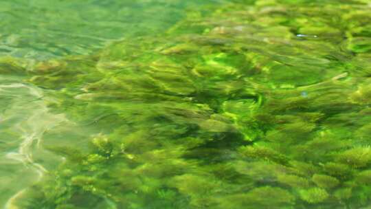 清澈水质水草水生态环境波光粼粼
