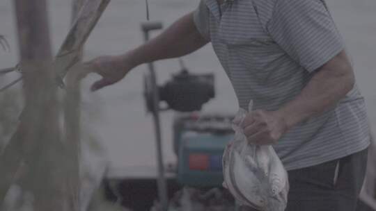 渔民河里捕鱼实拍镜头视频素材模板下载