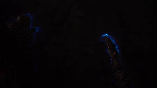 威海荧光海景观