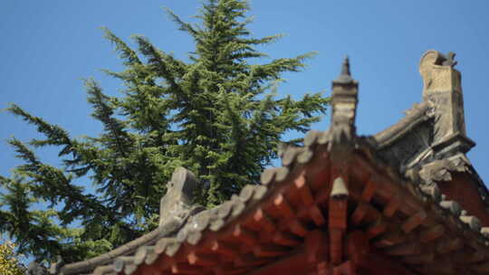 白马寺古风建筑