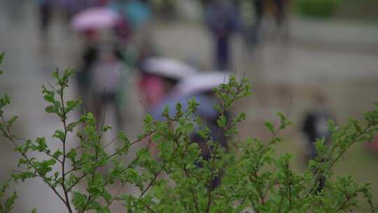 雨天打伞行走在广场的人们