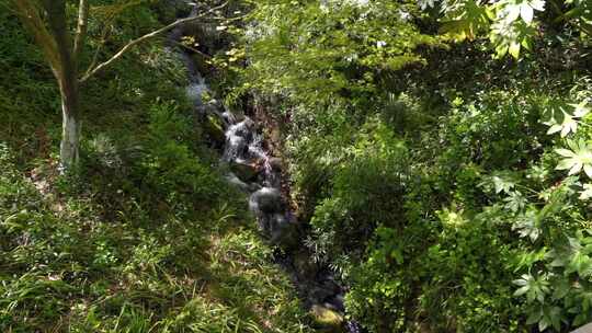 山涧溪流水流慢镜头