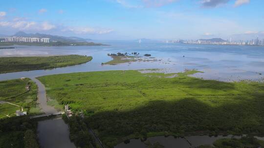 福田红树林航拍