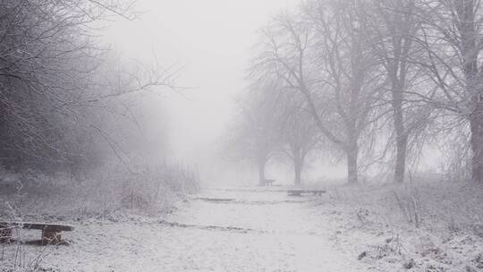 冬天安静的雪后小路