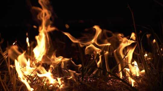 野火，丛林大火，火焰，火
