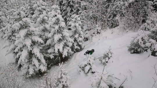 无人驾驶滑雪穿越白雪覆盖的森林视频素材模板下载