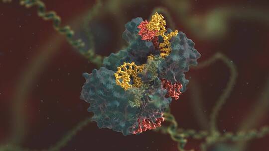 生物科学 基因编辑 DNA 基因工程 医学动画