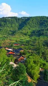 风景这边独好，一起享受大自然的美，风景