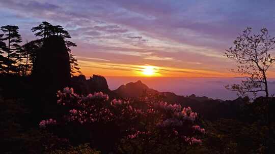 黄山清晨的太阳从高山云海升起