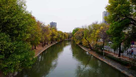 天津运河秋季城市公园风光