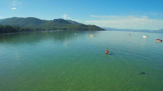 湖上一名妇女和她的狗划桨