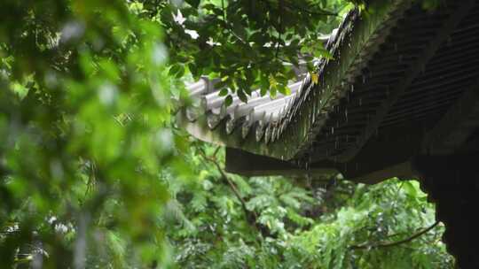 雨天古风建筑屋檐下雨水滴意境