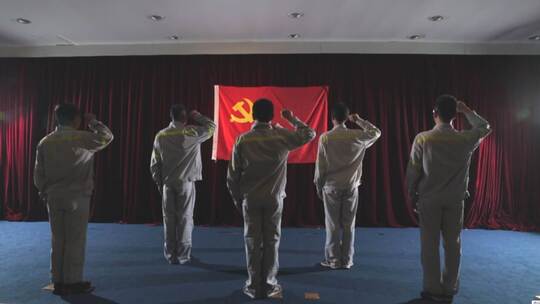 中国共产党 党员宣誓 抚摸党徽党建视频素材模板下载