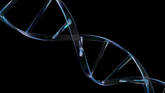 螺旋DNA生物科技带通道