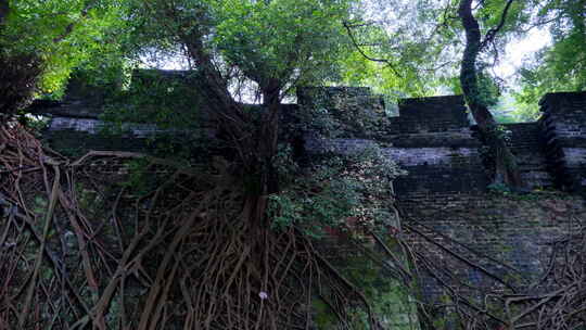 广州 越秀公园 古城墙