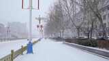 4k北方城市下大雪的人行道高清在线视频素材下载