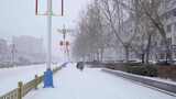4k北方城市下大雪的人行道高清在线视频素材下载