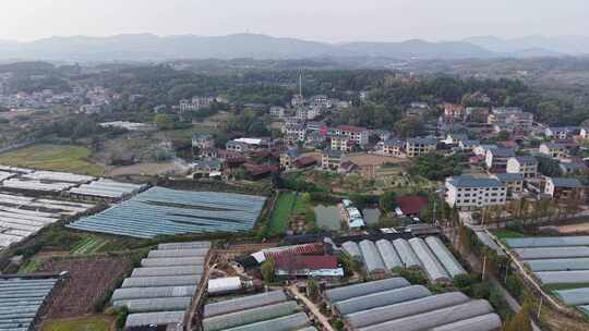 乡村振兴农业种植大棚航拍