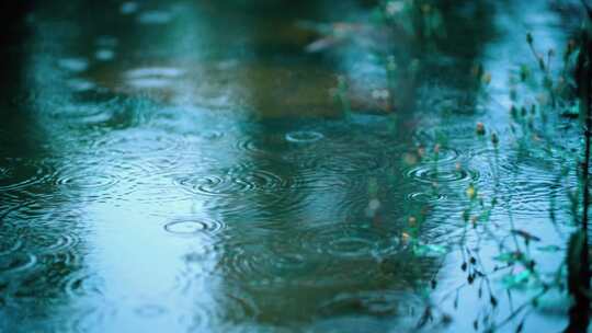 雨季意境梅雨雨滴水面波纹涟漪特写