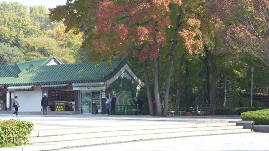 南京中山陵公园