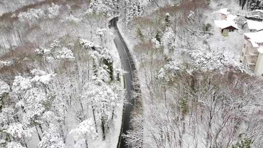 雪中的街道